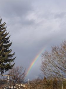 スカイブルーフォー | 「自己嫌悪のあとに、青空を見上げて｣