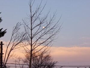 スカイブルーフォー | 見上げた空に、西の月と東の夕日